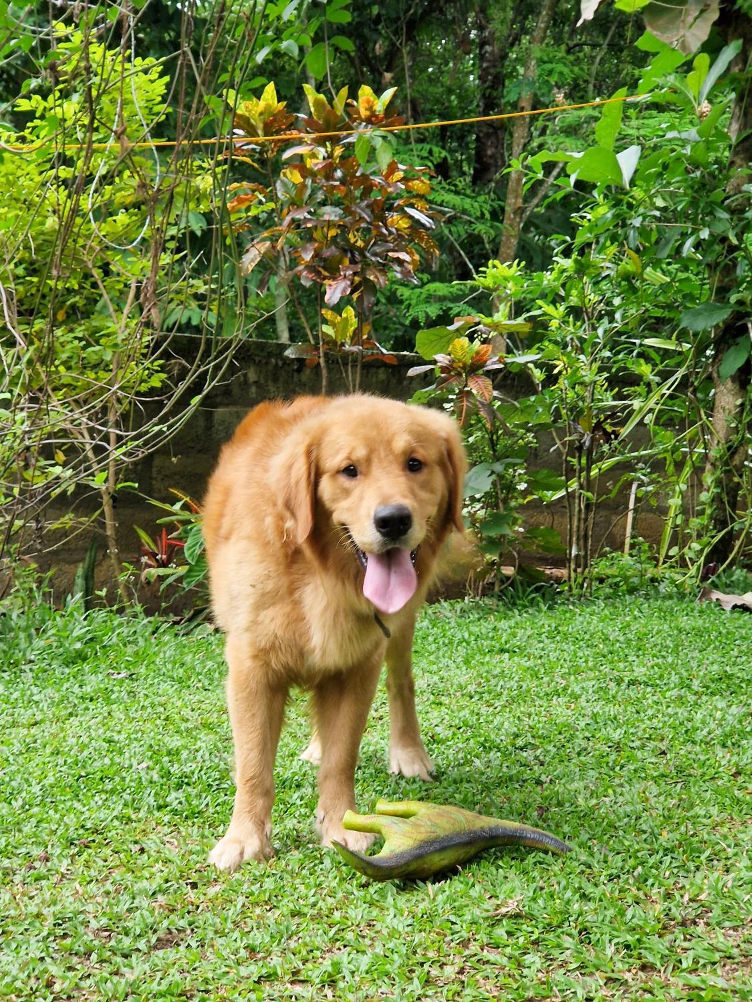 Villa Sole Kandy Bagian luar foto